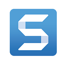 TechSmith Snagit 2024 - Single User