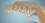 SketchUp Pro - 1 jaar abonnement